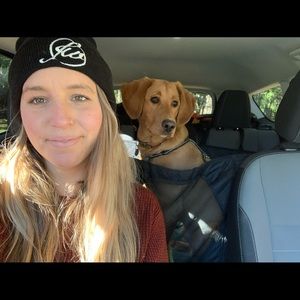 Meet your Posher, Molly